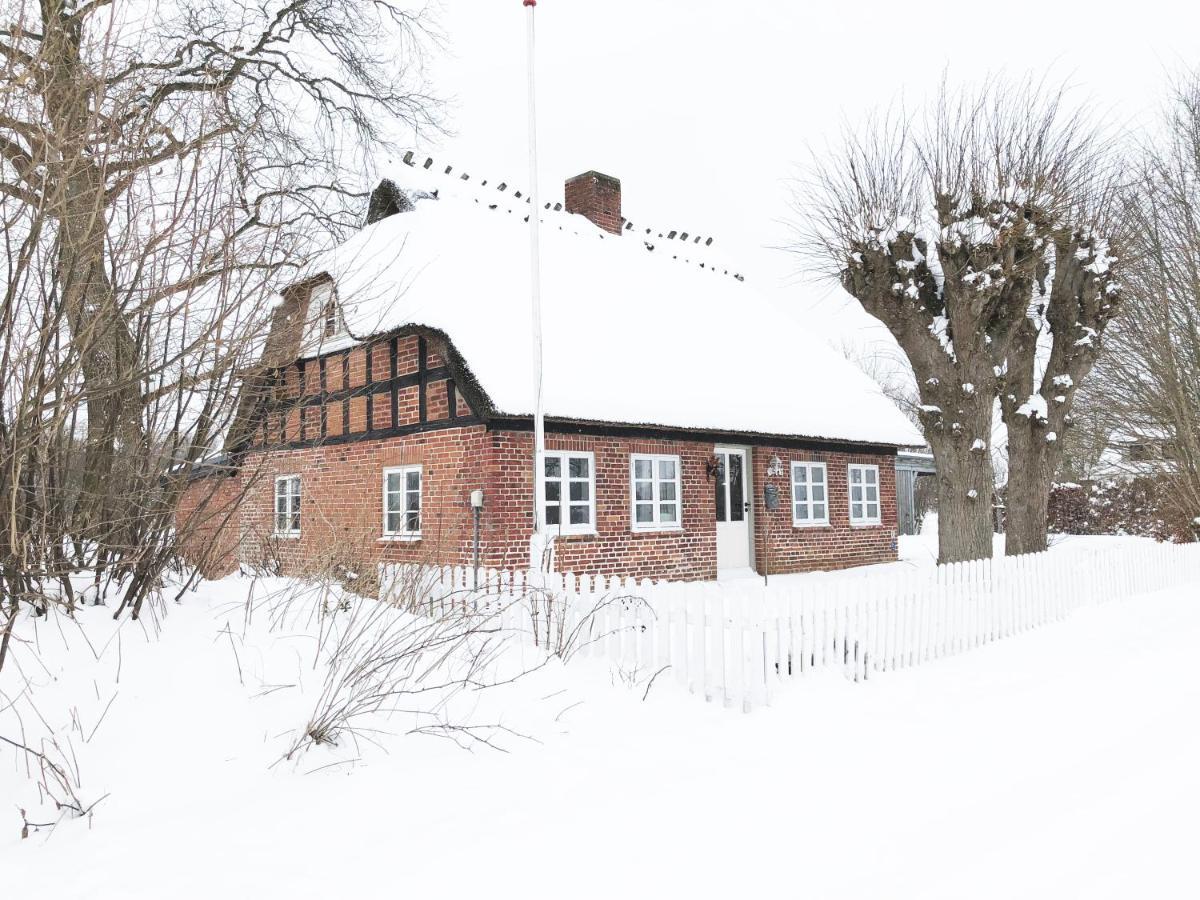 Romantisches Reetdachhaus - Frau Schroeders Mohrkirch Exterior foto